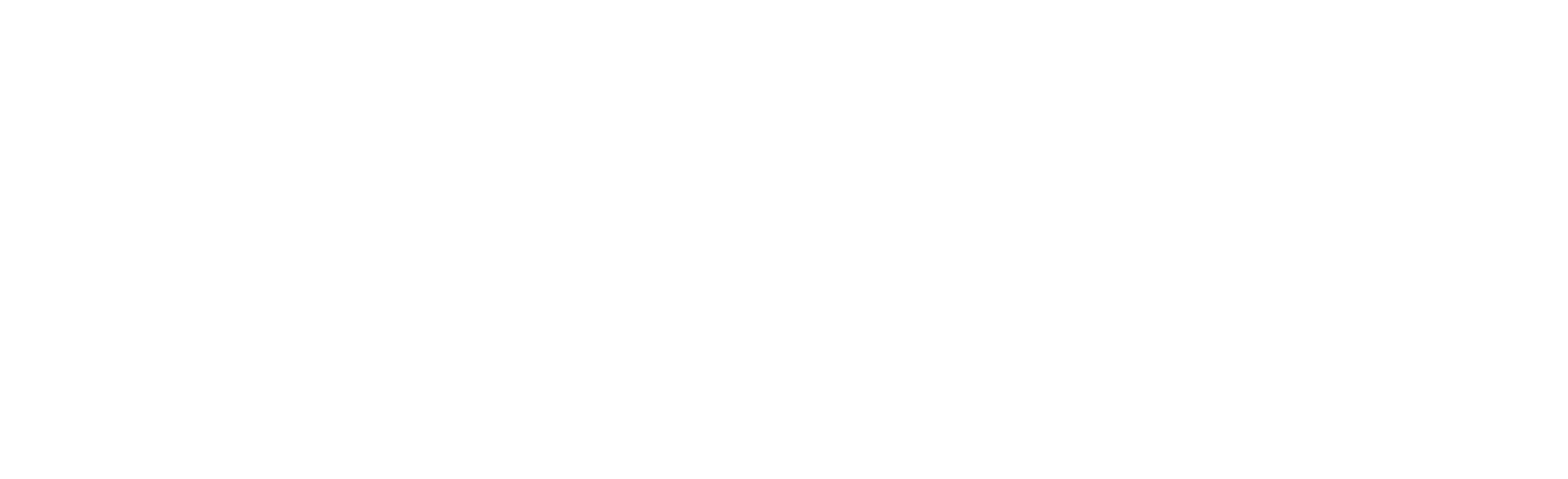 Nicilian logo — Dubai-based luxury fashion brand using regenerative silk.